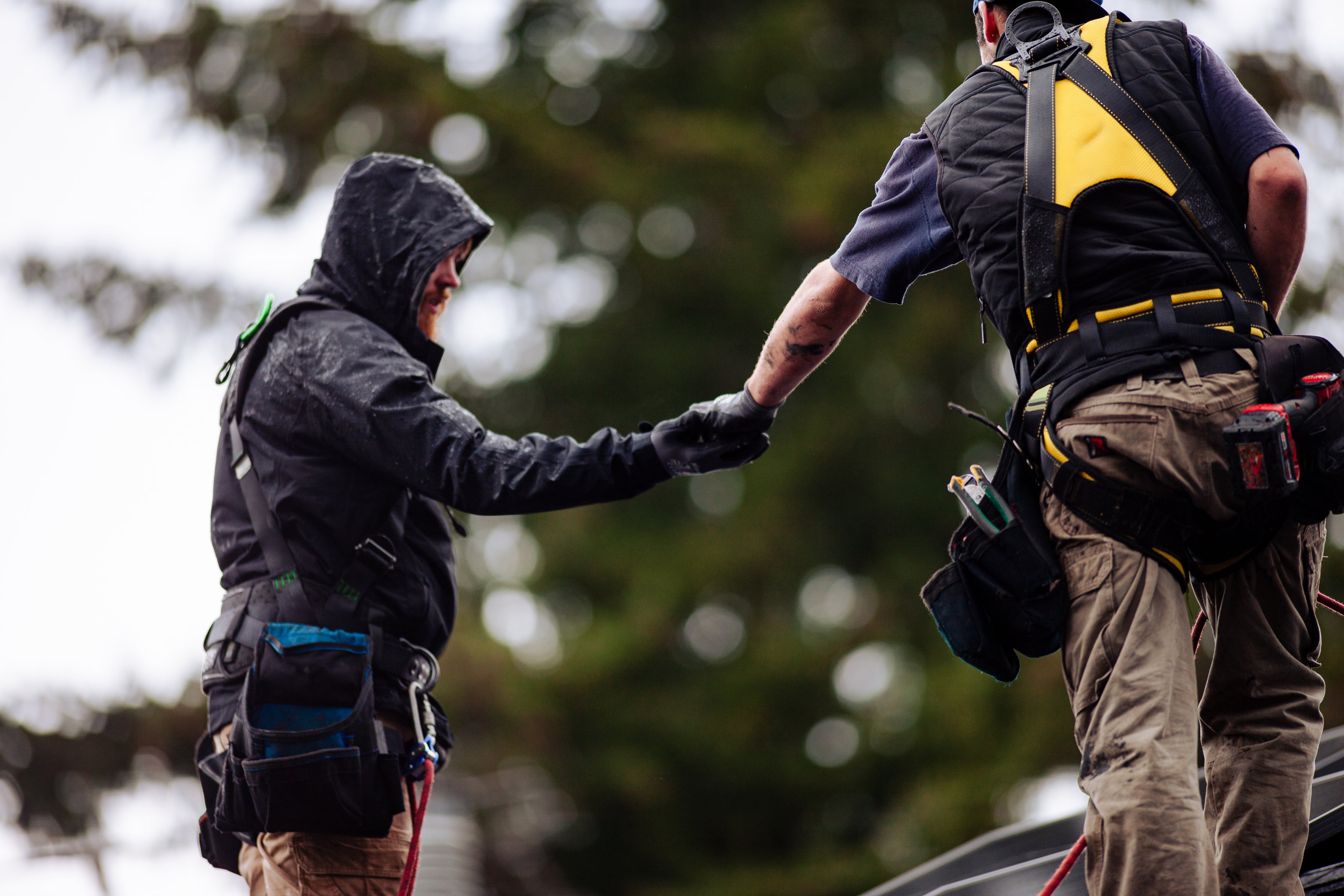 CONSTRUCTION & DISASTER RELIEF